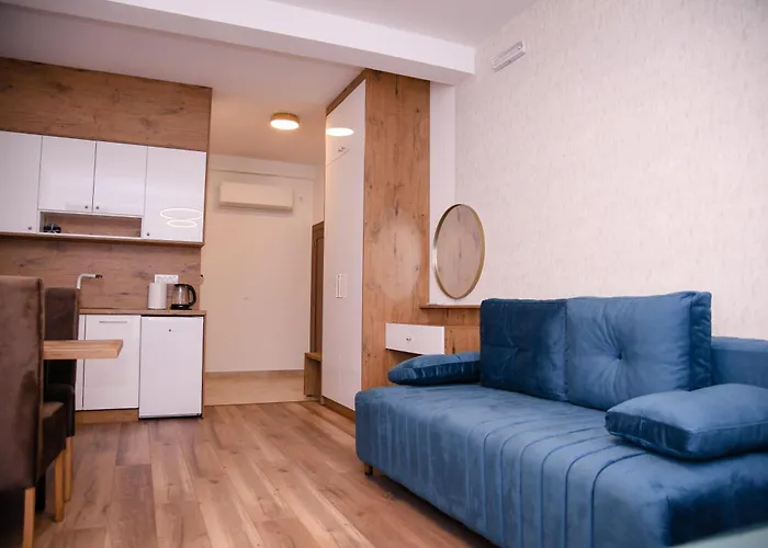 Mecks 노비파자르