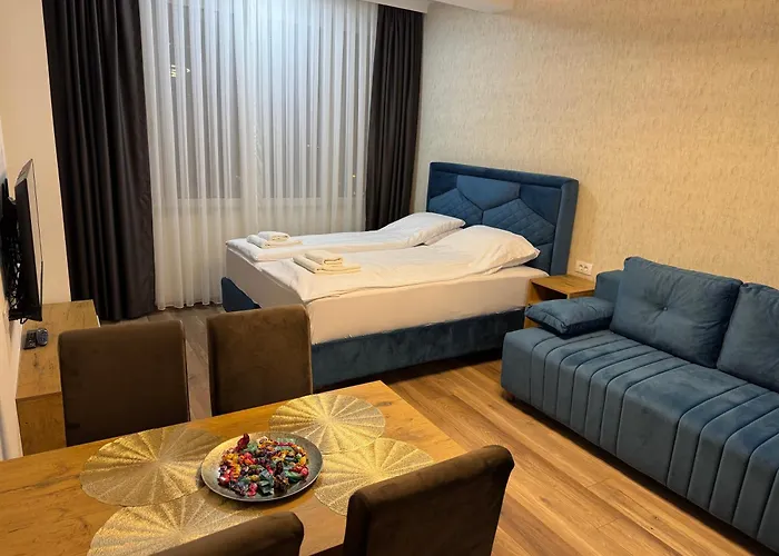 Mecks 노비파자르