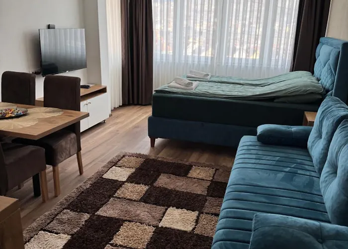 Mecks * 노비파자르